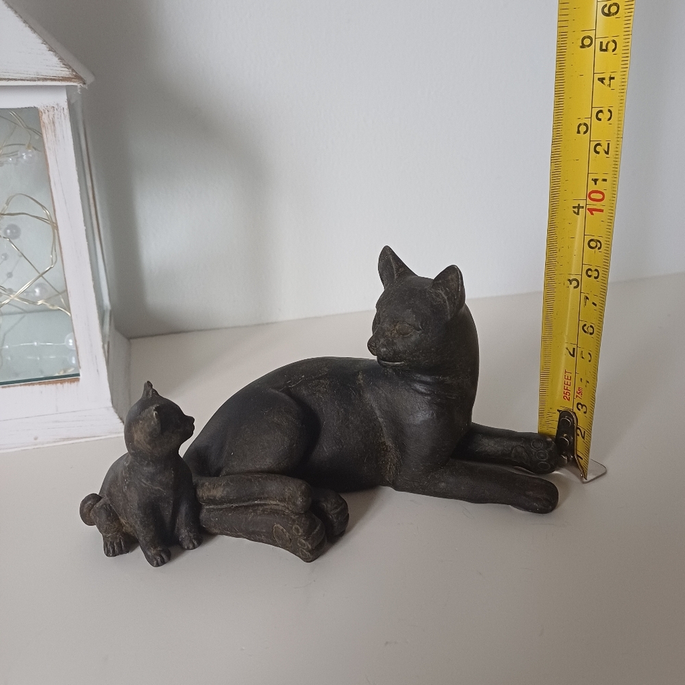 Cute Black Cat Mom And Kitten Baby - Picture 12 of 13